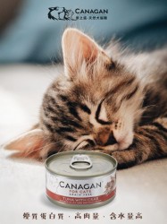 <期間限定>Canagan 原之選 雜錦口味貓罐頭 75g 每款口味各一共14罐優惠 (不可轉其他口味)