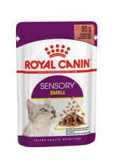 ＜購買正價貨品滿$300~可以優惠價$99換購＞ Royal Canin 法國皇家 Sensory 貓感系列 - SMELL 肉香配方 (Gravy) 85g x12包 到期日: 5/2026