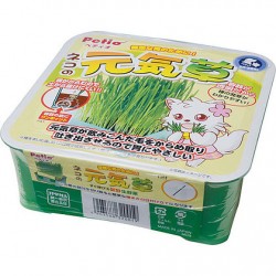 Petio日本產自種貓草方便套裝