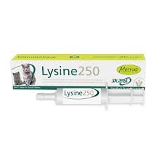Mervue lysine 100 30ml