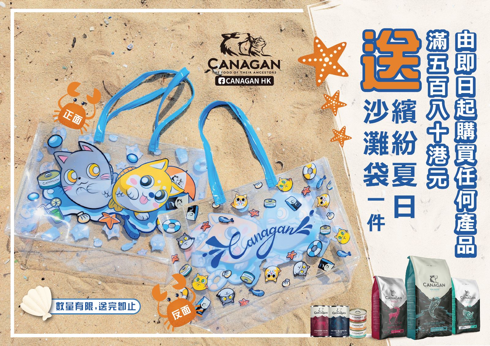 canagan-beach-bag-banner.jpeg