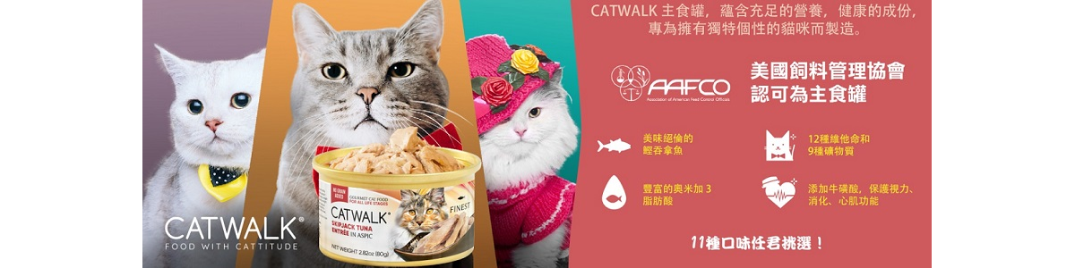 catwalk-banner-1200x300.png
