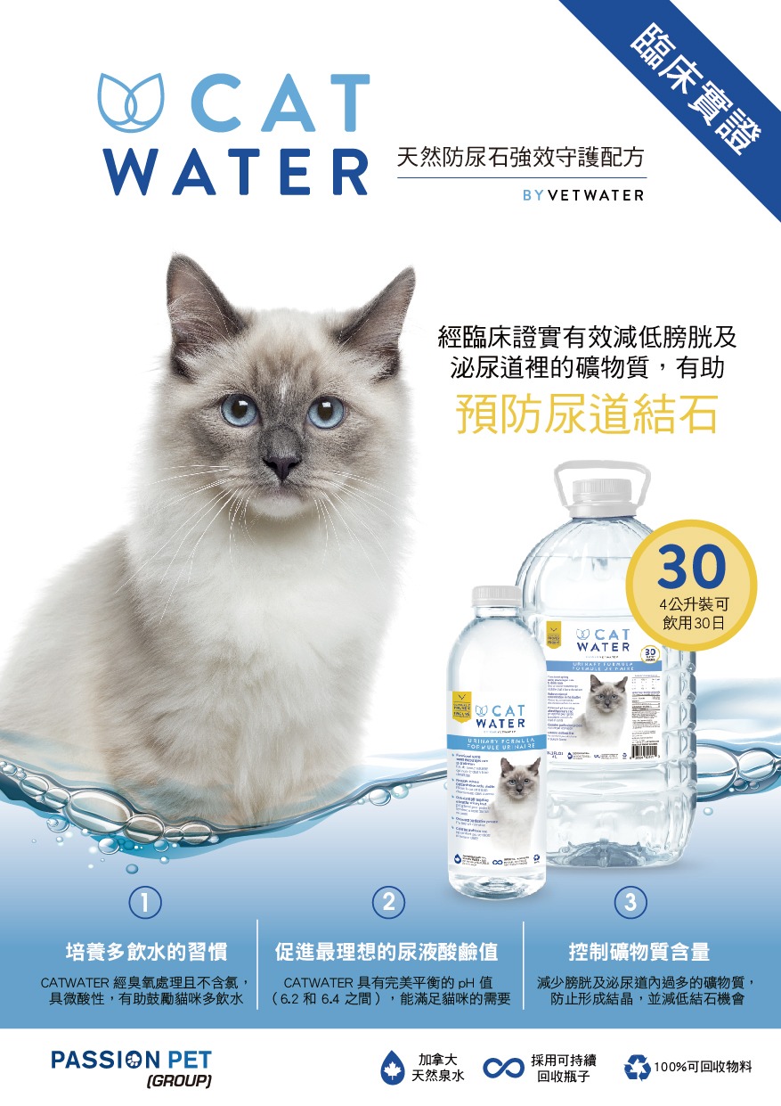 catwater-int.jpg