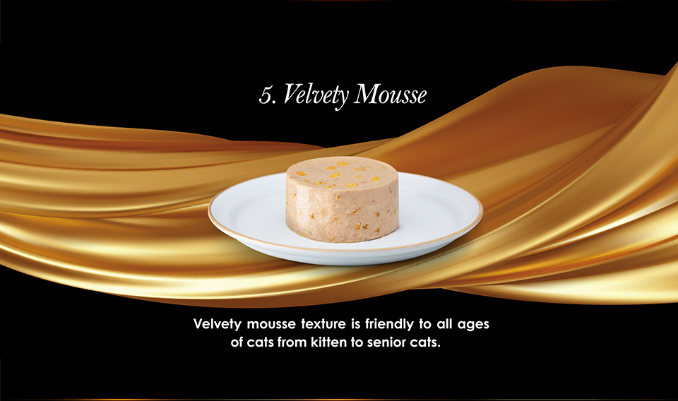 cherie-mousse-intro8.jpg