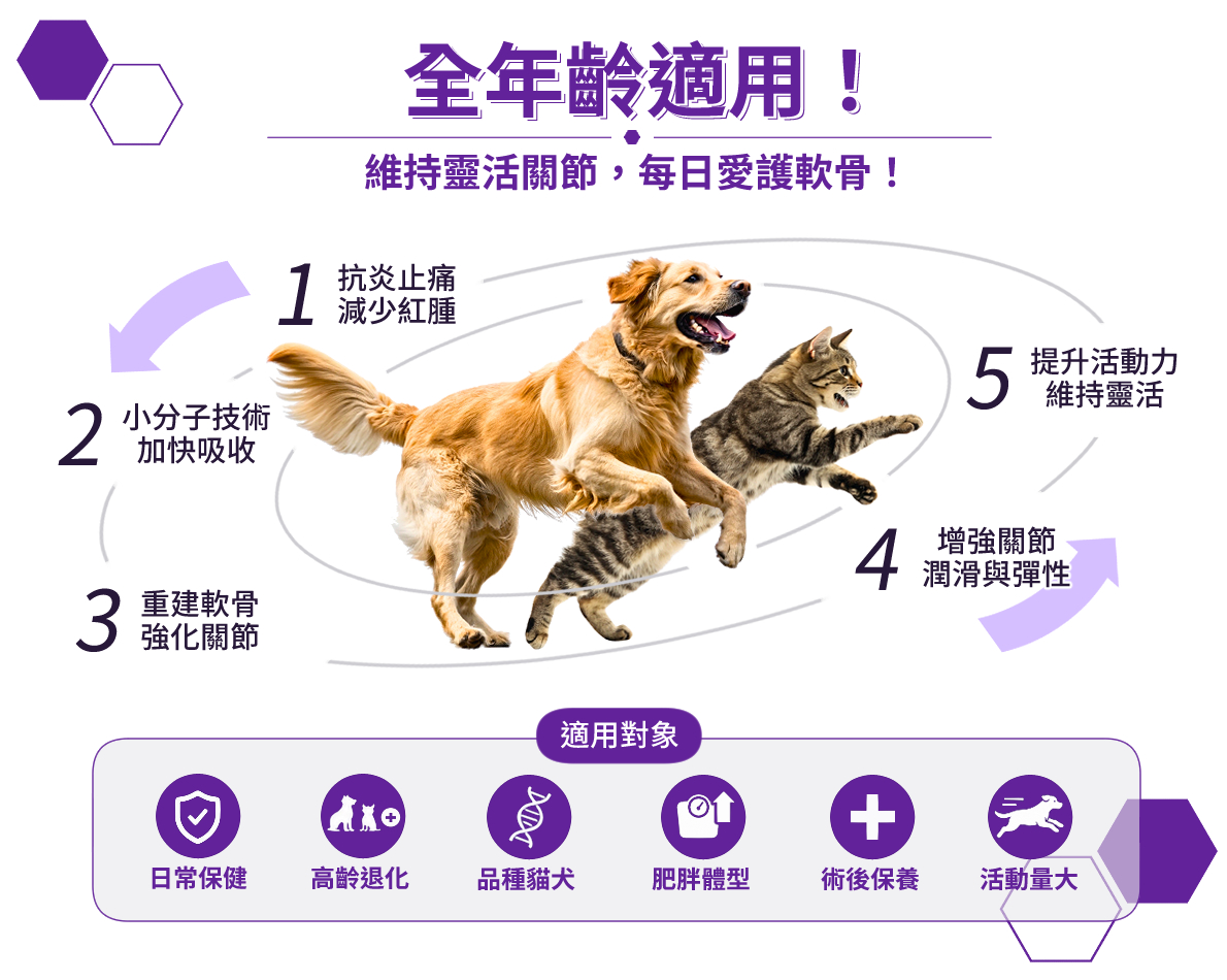 dr.pet-joint-powder-3.jpg dr.pet-joint-powder-3.jpg