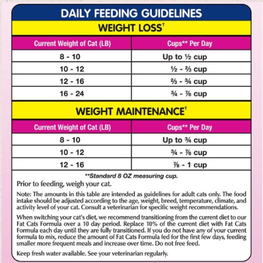 nb-cat-fat-cat-feeding-guide.jpg