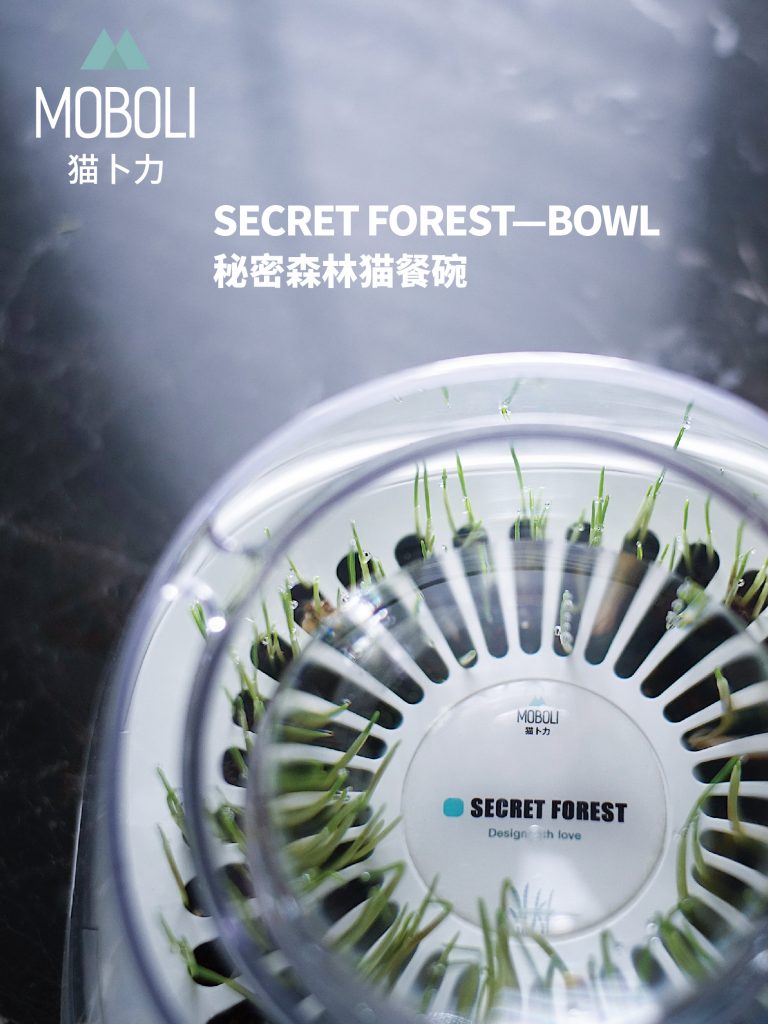 secret-forest-bowl-description-1.jpeg