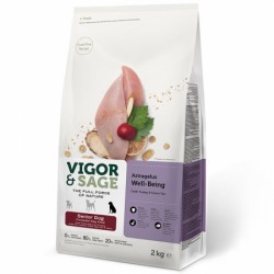 Vigor & Sage 火雞肉、黃芪無穀物配方 [老犬糧] 2kg